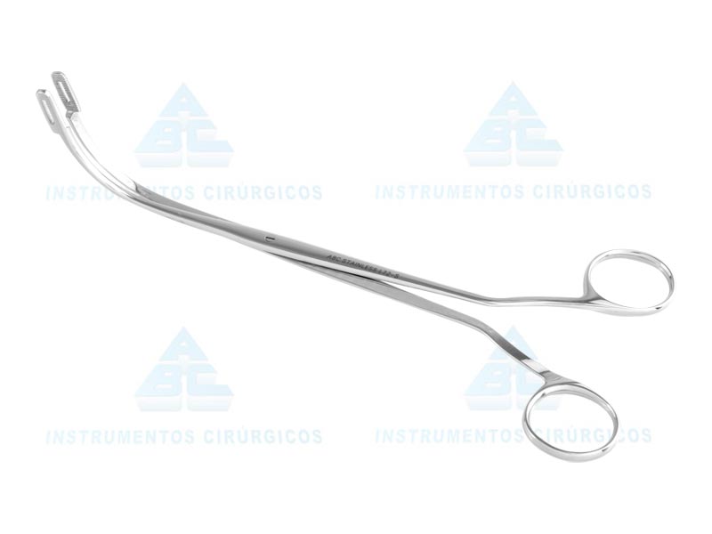 PINCA RANDALL N.2 ( P/CALCULO RENAL )