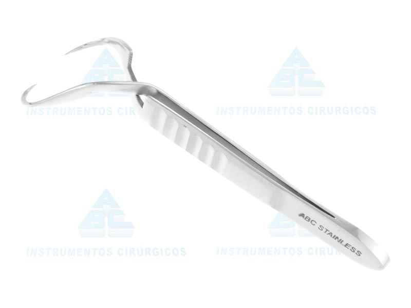 PINCA JONES ( PARA CAMPO 9CM )