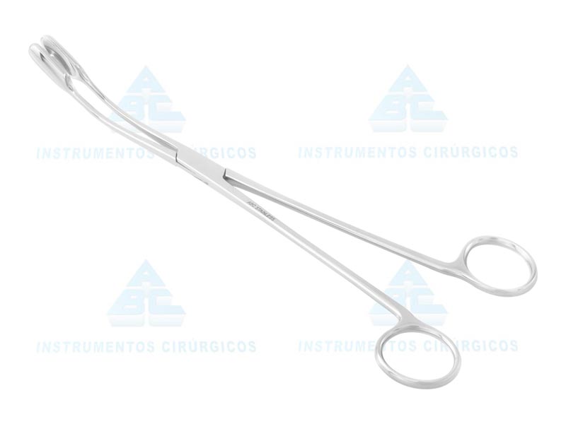 PINCA WINTER CURVA N.1 ( 27CM /PLACENTA )