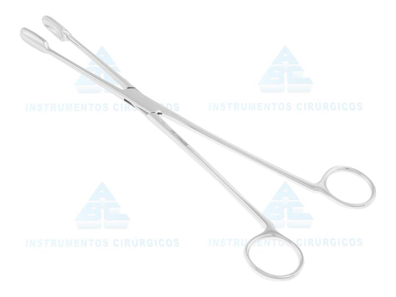 PINCA WINTER RETA N.3 ( 27CM /PLACENTA )
